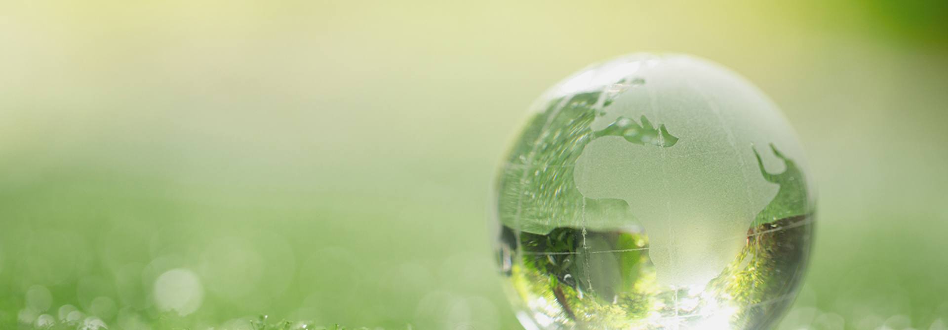 Sustainability